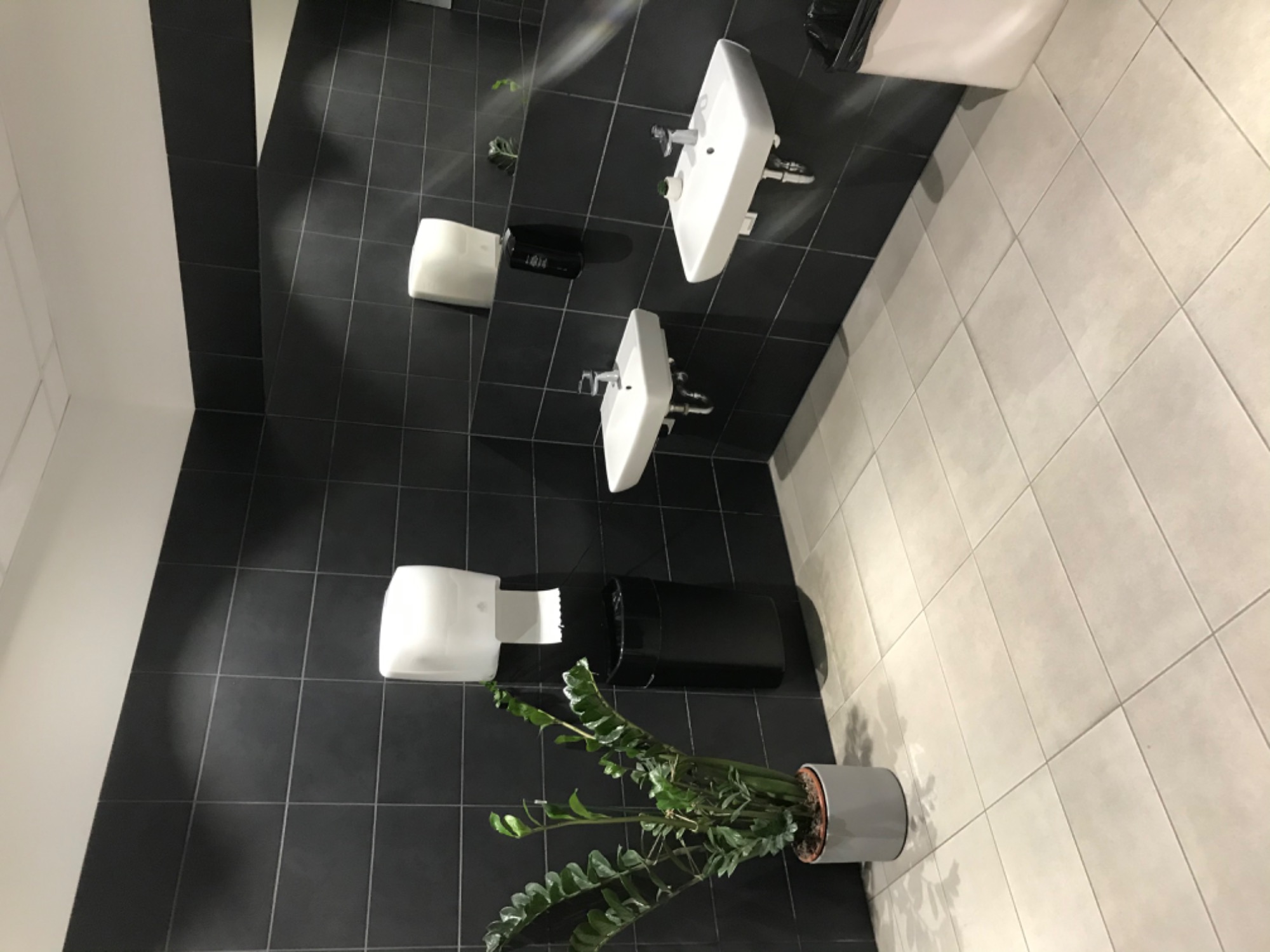 Wnętrze toalety publicznej z dwoma umywalkami, podajnikami na ręczniki i koszami na śmieci, uzupełnione rośliną doniczkową w szarej osłonce, na ścianach czarne płytki, a na podłodze jasne.