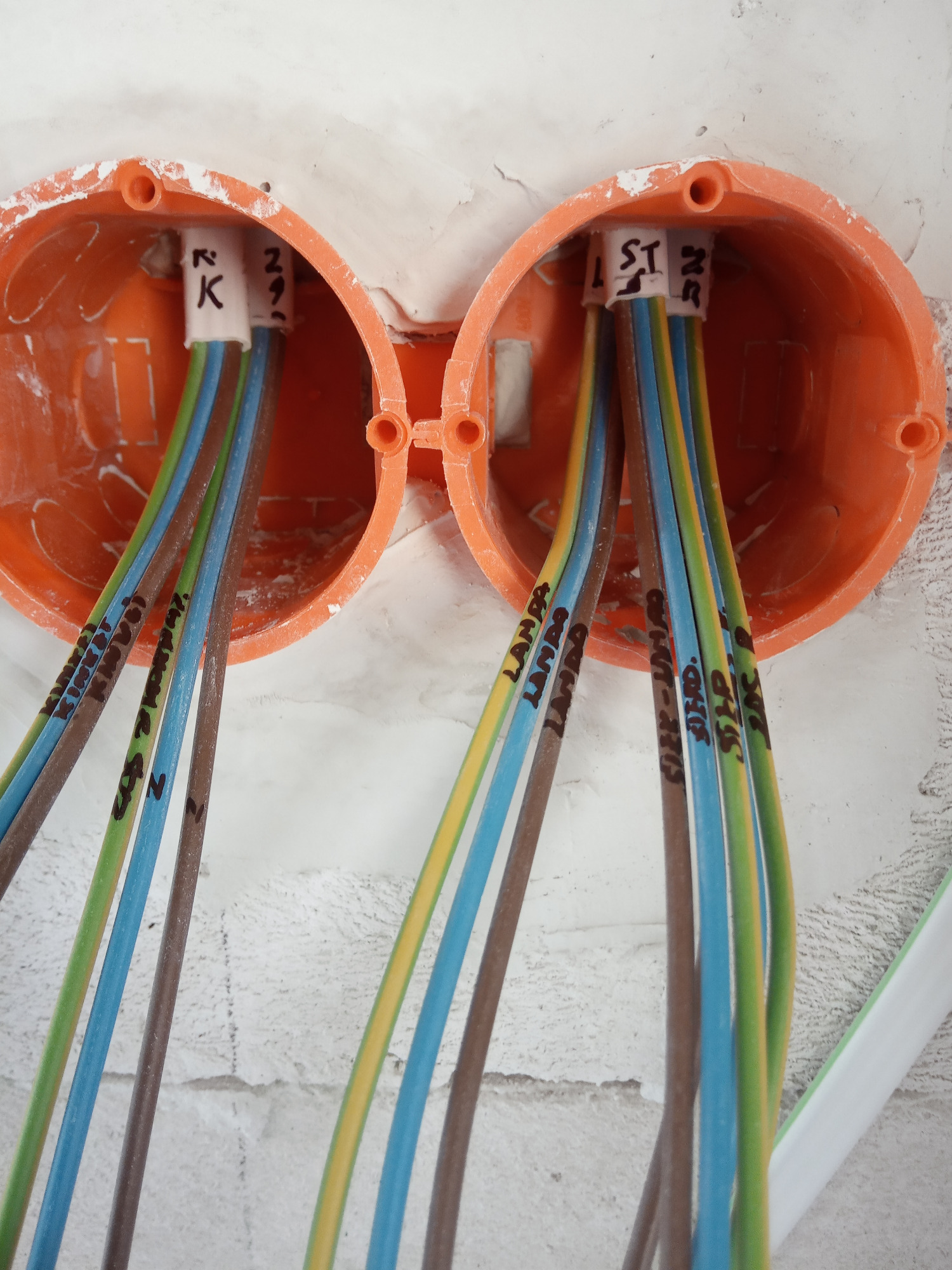 Dwa pomarańczowe puszki elektryczne w surowej ścianie, z oznaczonymi przewodami w kolorach: niebieskim, zielonym, brązowym i żółto-zielonym, skierowanymi do wnętrza puszek.