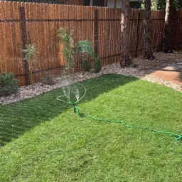 Automatyczny system nawadniania trawnika z zielonym wężem, drewniany płot w tle, małe drzewka wzdłuż płotu.