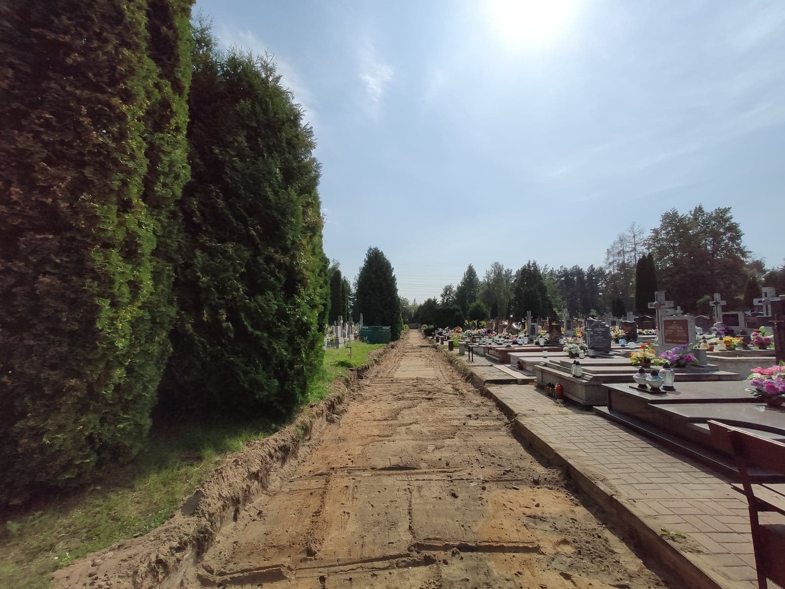 Świeżo wykopany rów na cmentarzu komunalnym w Białymstoku, pomiędzy tujami a nagrobkami, w słoneczny dzień.