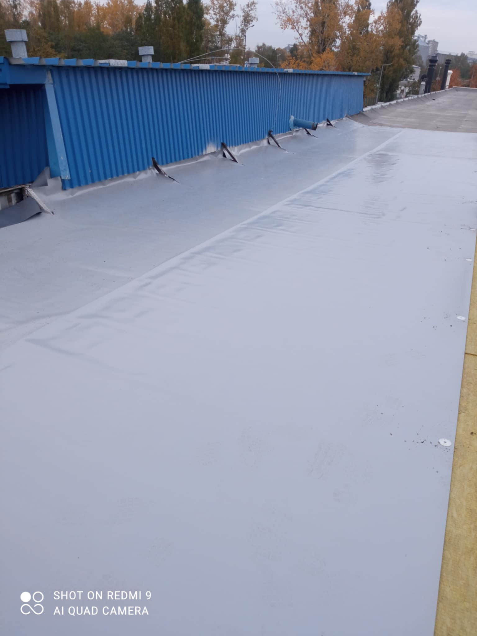 Szare, płaskie pokrycie dachu przemysłowego z widocznymi metalowymi elementami mocującymi i niebieską blachą falistą na krawędzi, w tle drzewa z jesiennymi liśćmi.