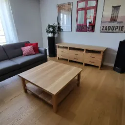 Jasny salon z drewnianą podłogą, stolikiem kawowym z półką, szafką RTV z szufladami i szarą sofą z czerwonymi poduszkami. Na ścianie wiszą trzy plakaty.