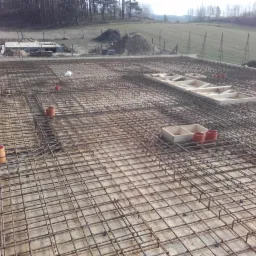 Dom w goździkowcach.