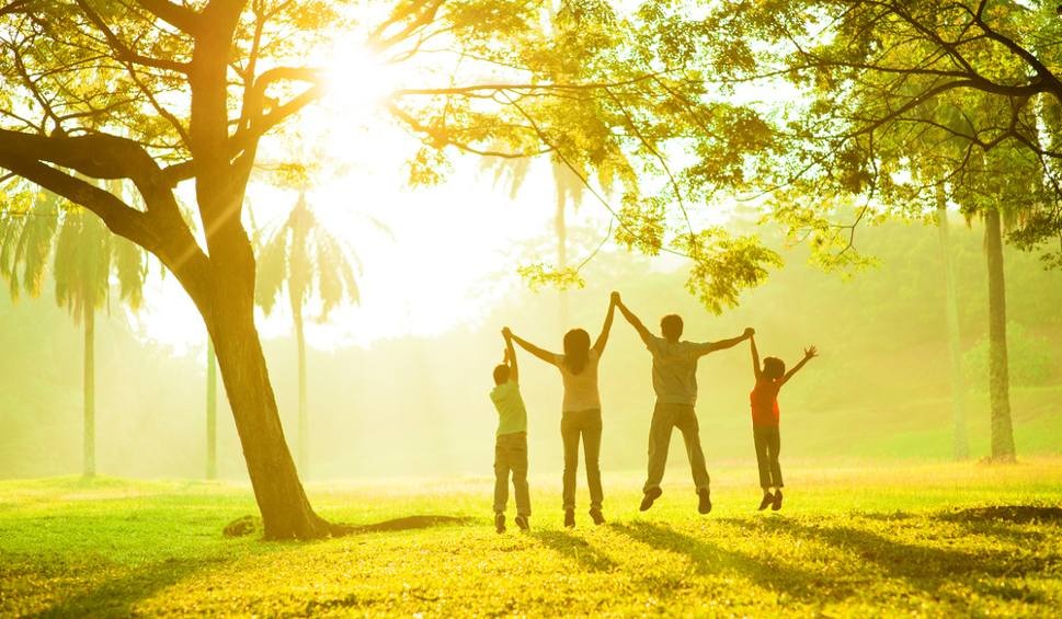 Rodzina skacząca na zielonej łące w słoneczny dzień, pod rozłożystym drzewem, z promieniami słońca przebijającymi przez liście.