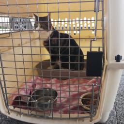 Firma Usługowo-Transportowa 