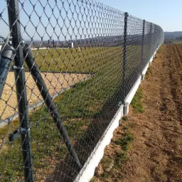 Długa siatka ogrodzeniowa z podmurówką betonową oddzielająca pole uprawne od terenu zielonego, widok z bliska na słupki mocujące i oczka siatki.