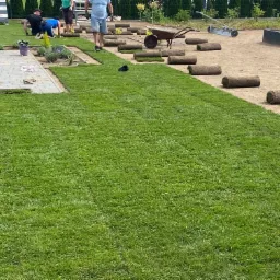 Układanie trawy z rolki w ogrodzie; widoczne rolki trawy, pracownicy, taczka i fragment ułożonej, zielonej trawy, a na niej czarny ptak.