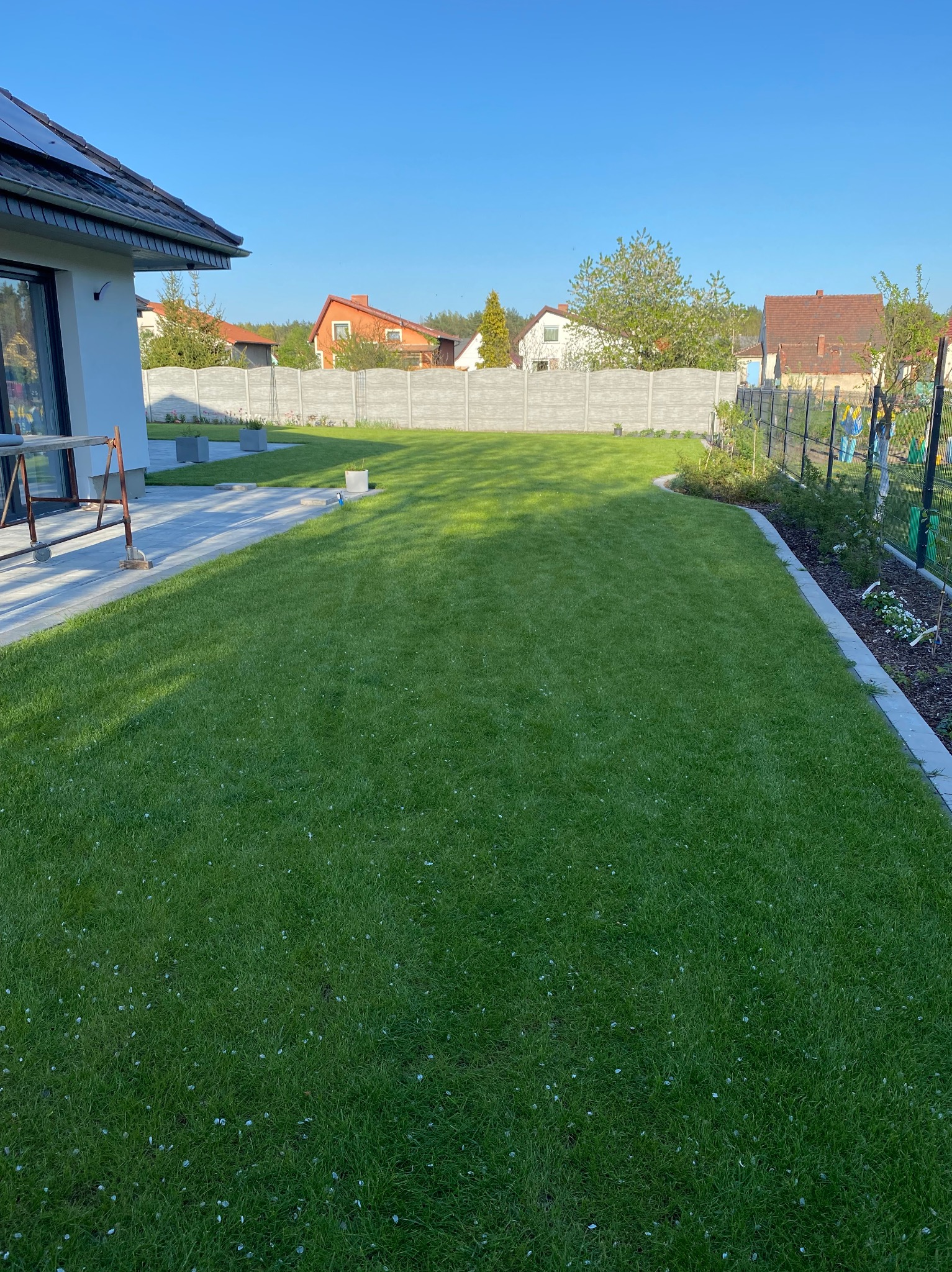Rozległy, zielony trawnik przed domem z widocznymi elementami nowej architektury ogrodowej, takimi jak obrzeża rabat i przygotowane miejsca pod nasadzenia, w tle szary, betonowy płot.