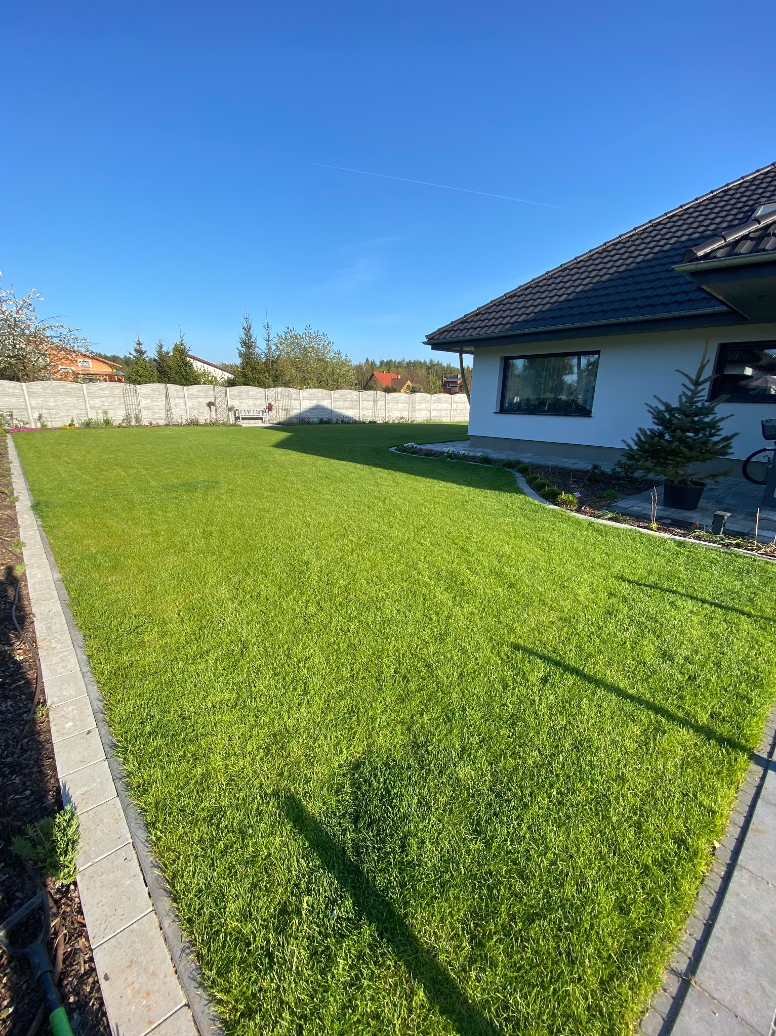 Rozległy, intensywnie zielony trawnik z rolki, świeżo ułożony, przylegający do nowoczesnego domu z ciemną dachówką i jasną elewacją, obrzeża z kostki brukowej, w tle betonowe ogrodzenie i drzewa.