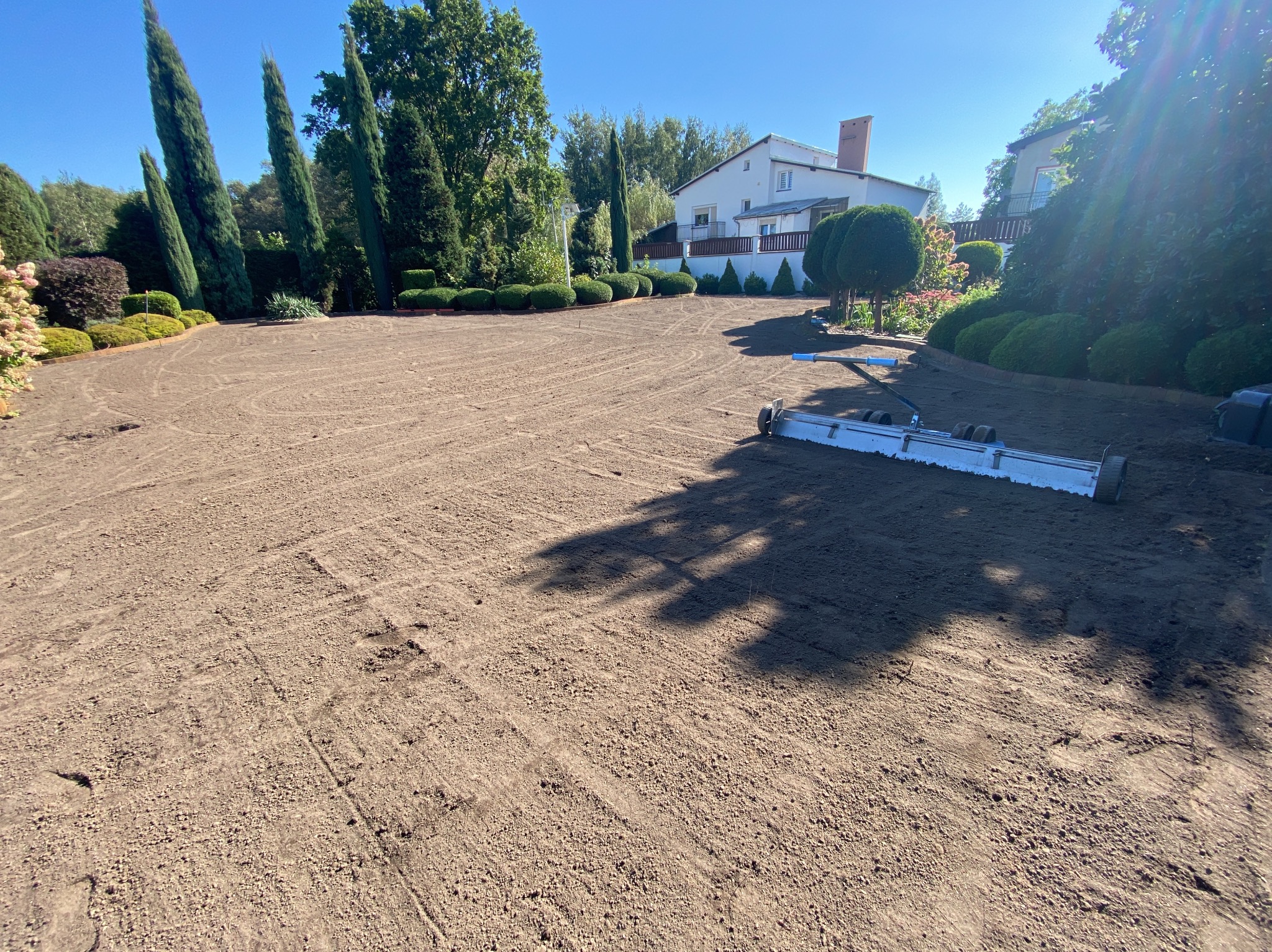 Przygotowany, wyrównany teren pod przyszły trawnik, widoczny walec do trawy i cień drzewa, w tle dom jednorodzinny i ozdobne krzewy.