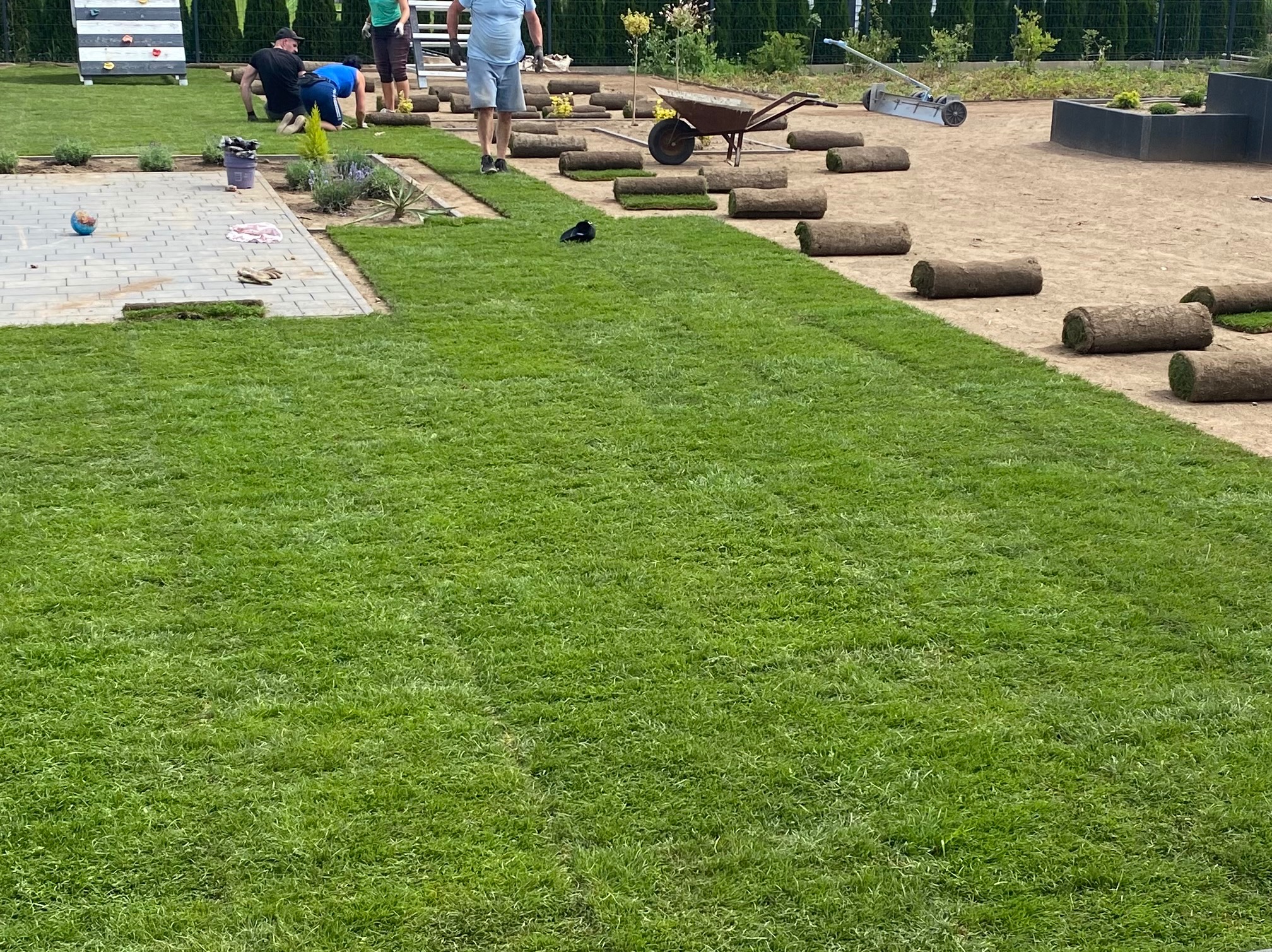 Układanie trawy z rolki w ogrodzie; widoczne rolki trawy, pracownicy, taczka i fragment ułożonej, zielonej trawy, a na niej czarny ptak.