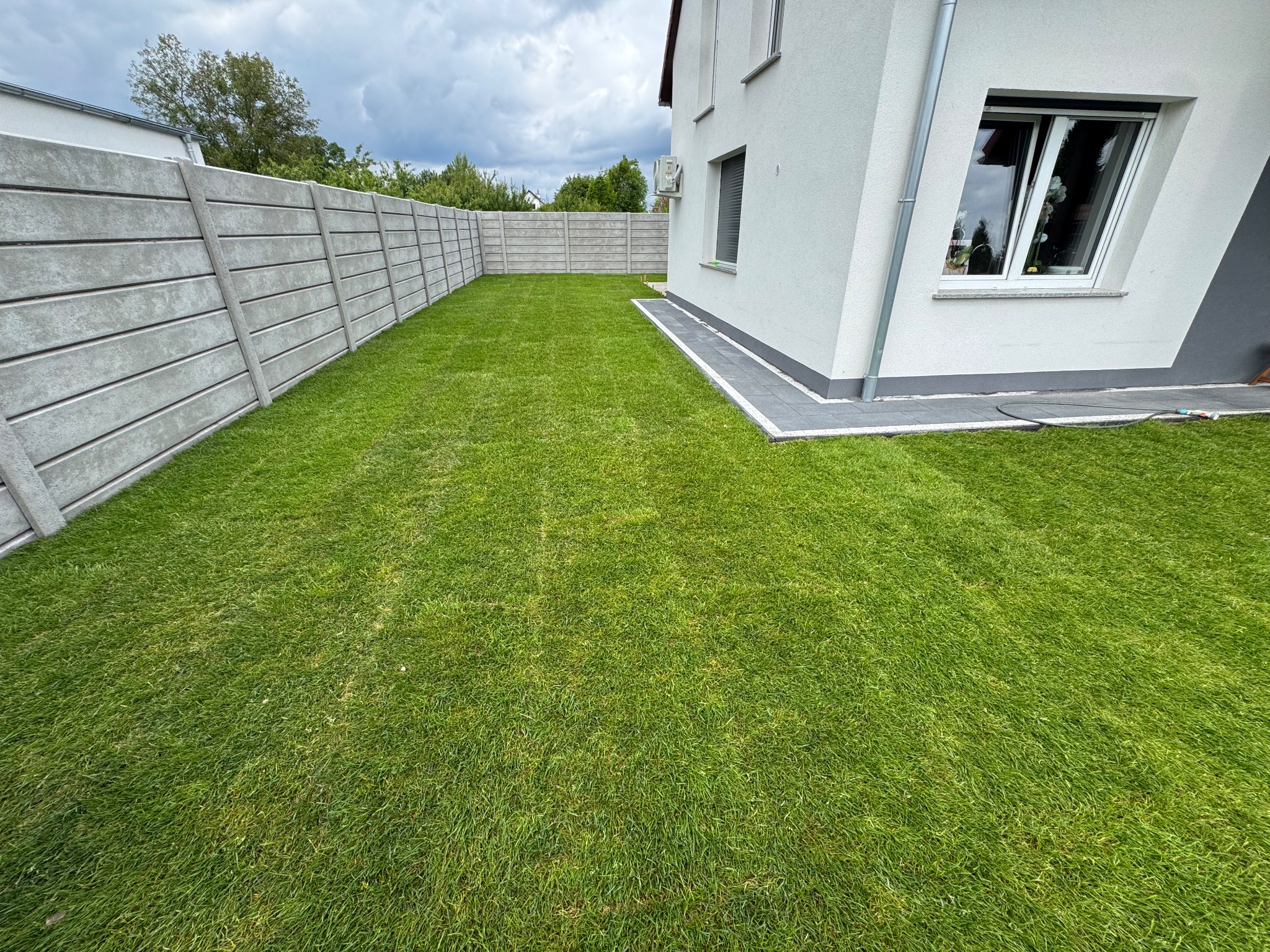 Zadbany trawnik przydomowy z równo przystrzyżoną trawą, ograniczony betonowym ogrodzeniem panelowym i ścianą budynku z oknem. Widoczne szare obrzeża.