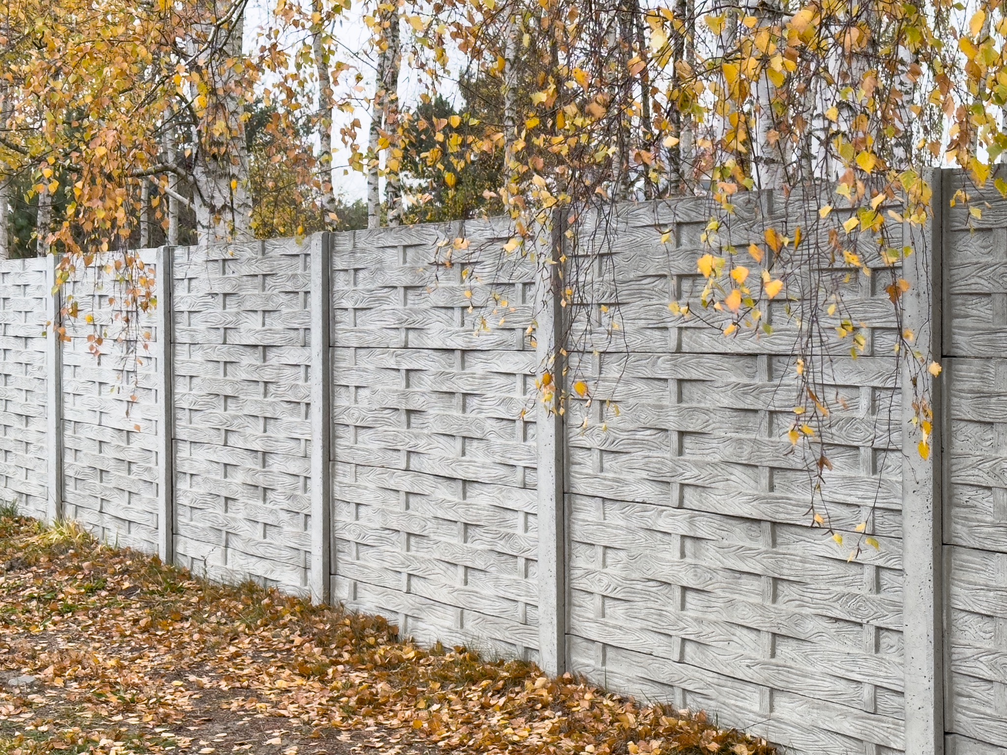 Szary, betonowy płot o wzorze plecionki w jesiennej scenerii z opadłymi liśćmi i gałęziami drzew z żółtymi liśćmi zwisającymi nad nim.