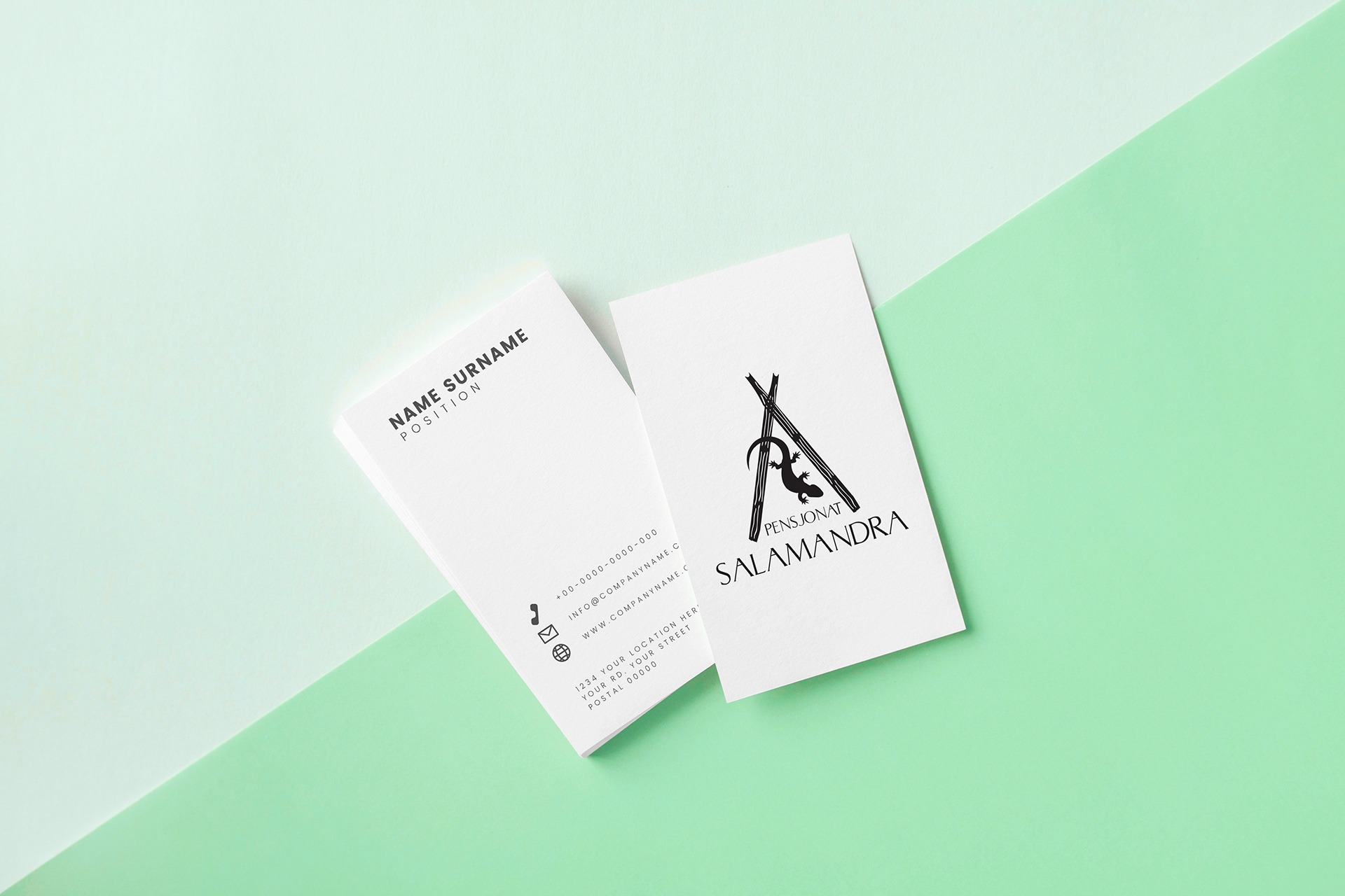 logo dla 'Pensjonat Salamandra' II