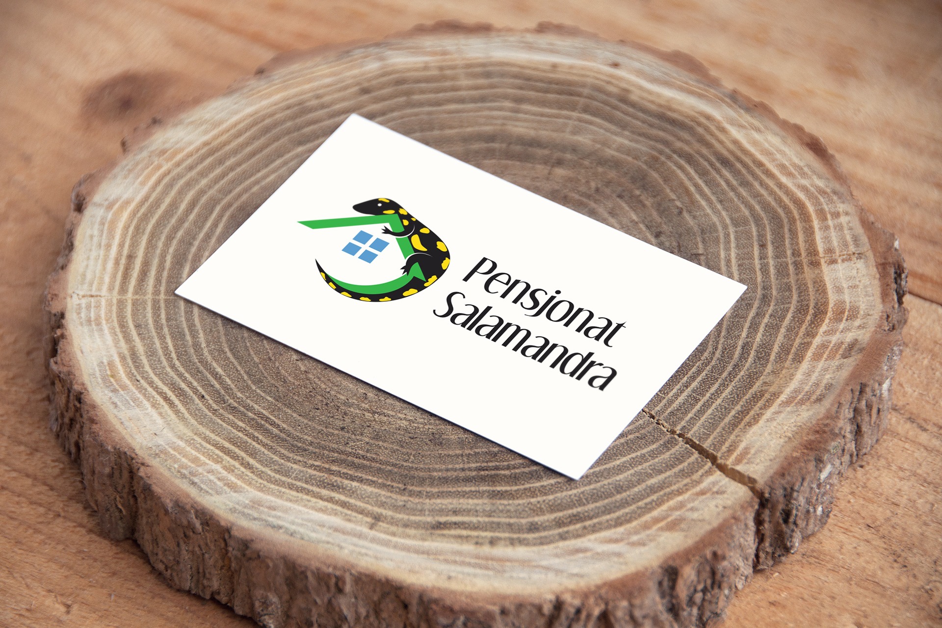 Logo dla 'Pensjonat Salamandra'