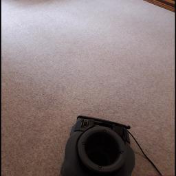 Suszenie  już wypranej  wykładziny u klienta 