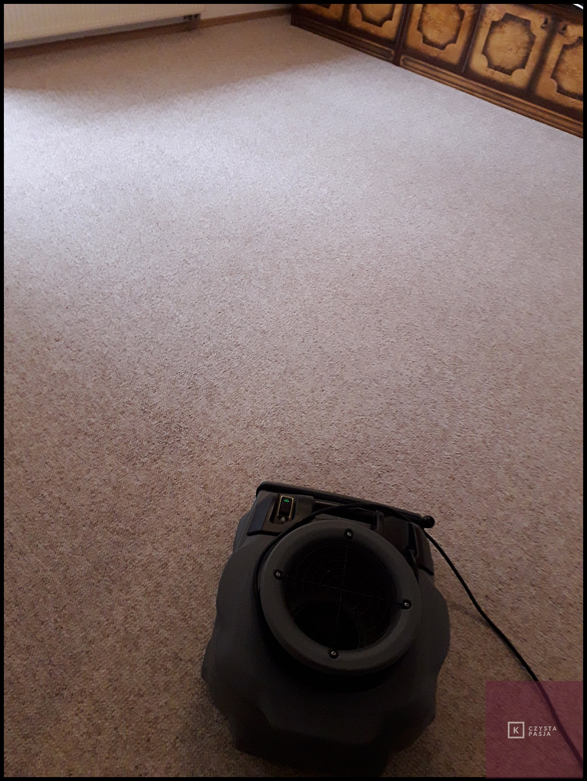 Suszenie już wypranej wykładziny u klienta