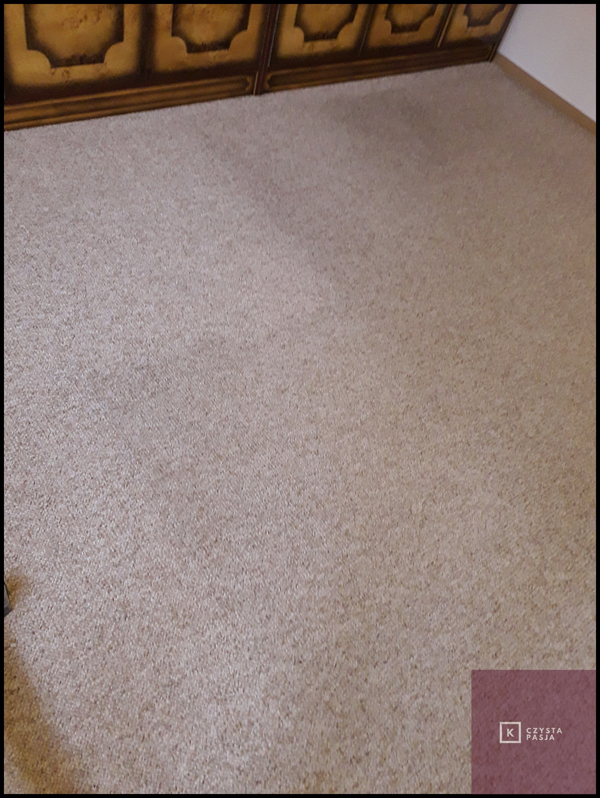 Pranie wykładziny w domu klienta efekt 50/50