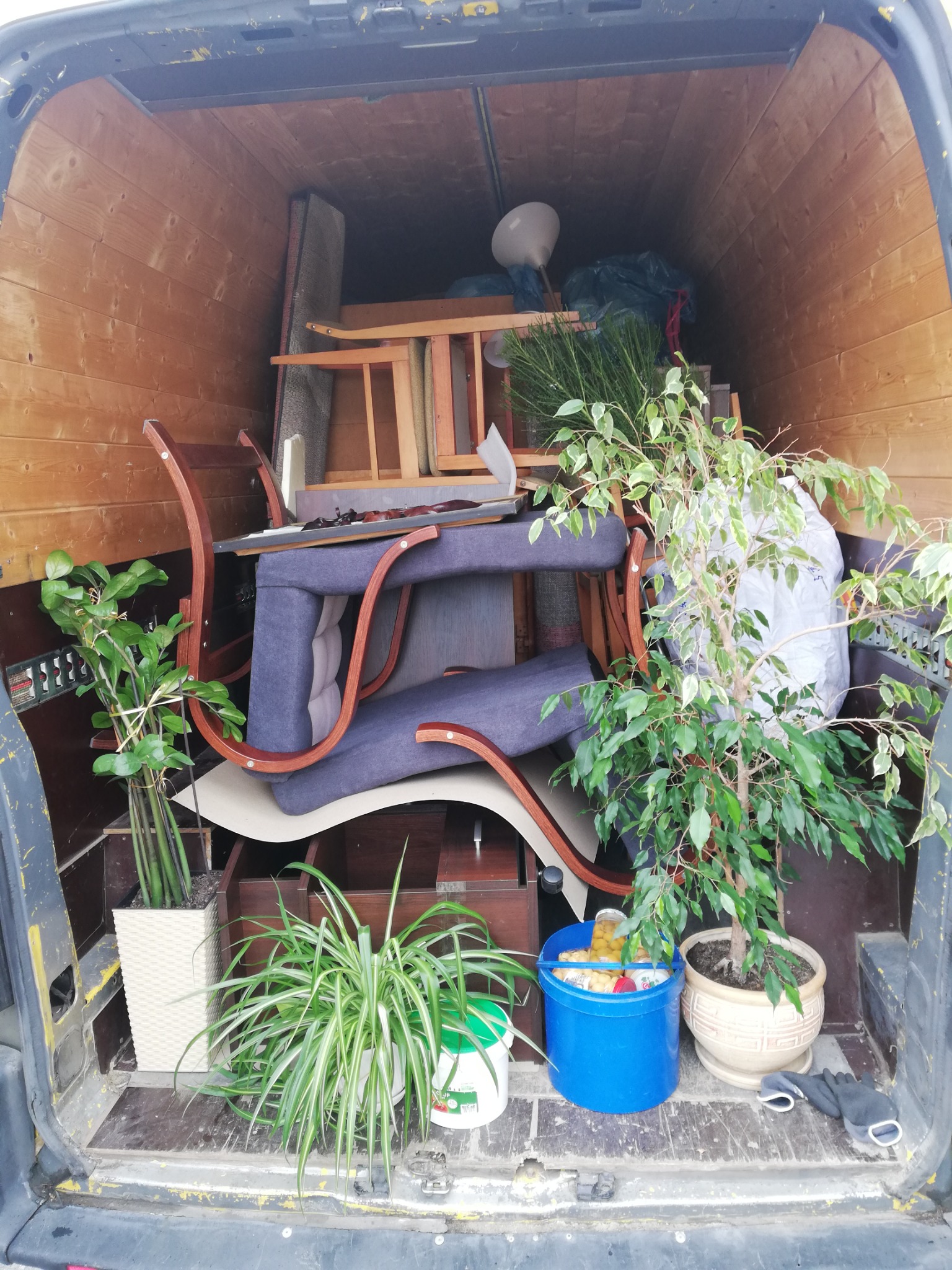 Wnętrze furgonetki załadowane meblami i roślinami doniczkowymi podczas transportu, widoczne krzesło z giętymi elementami, lampa i wiadro z zawartością.