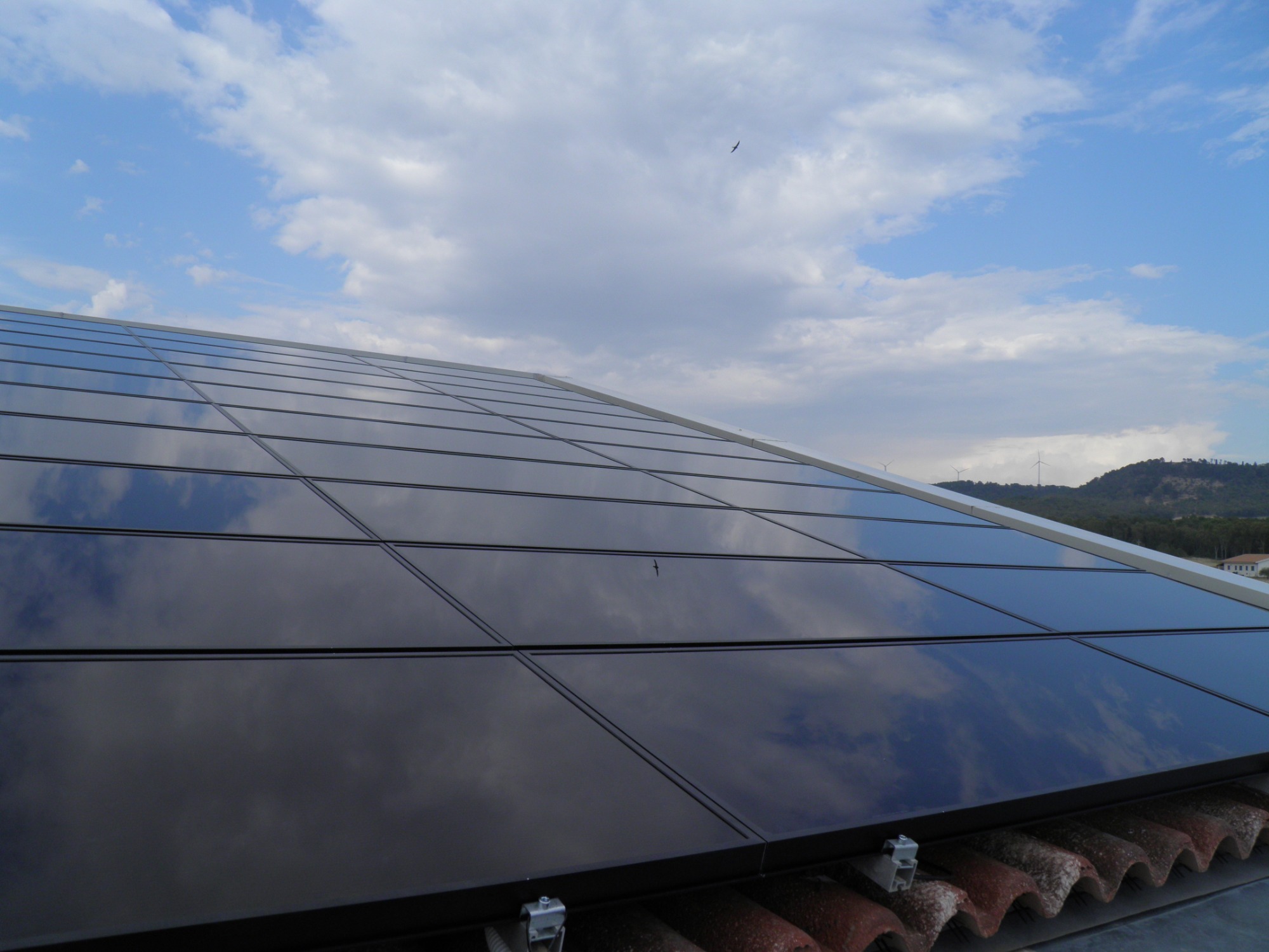 Panele fotowoltaiczne na dachu budynku, odbijające błękitne niebo z chmurami, z widocznym ptakiem przelatującym nad instalacją.