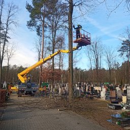 BEST LIFT Marcin Leśniewski - Pracownik w żółtym podnośniku koszowym przycina drzewo na cmentarzu; widoczne nagrobki i gałęzie na brukowanej ścieżce.