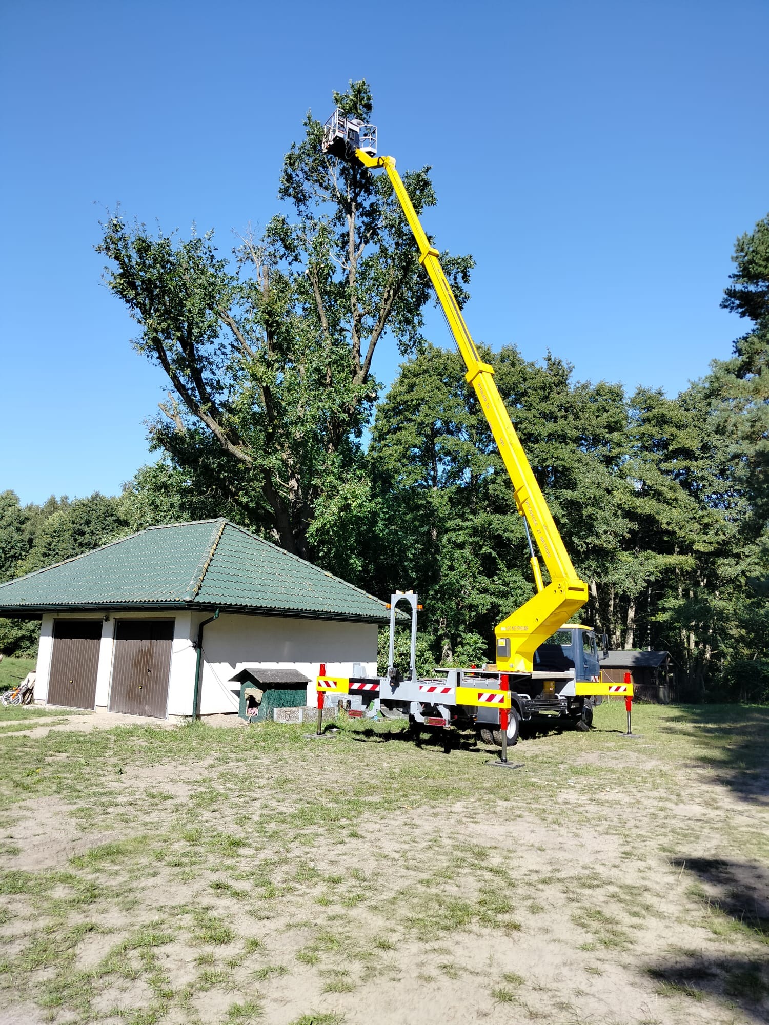 Żółty podnośnik koszowy wysięgnikiem sięgającym korony drzewa, pracownik w koszu na tle błękitnego nieba, obok budynek gospodarczy z zielonym dachem