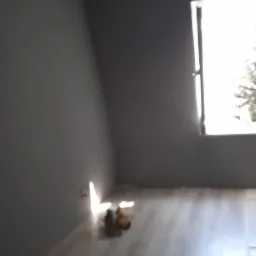 Wykaczenie mieszkania