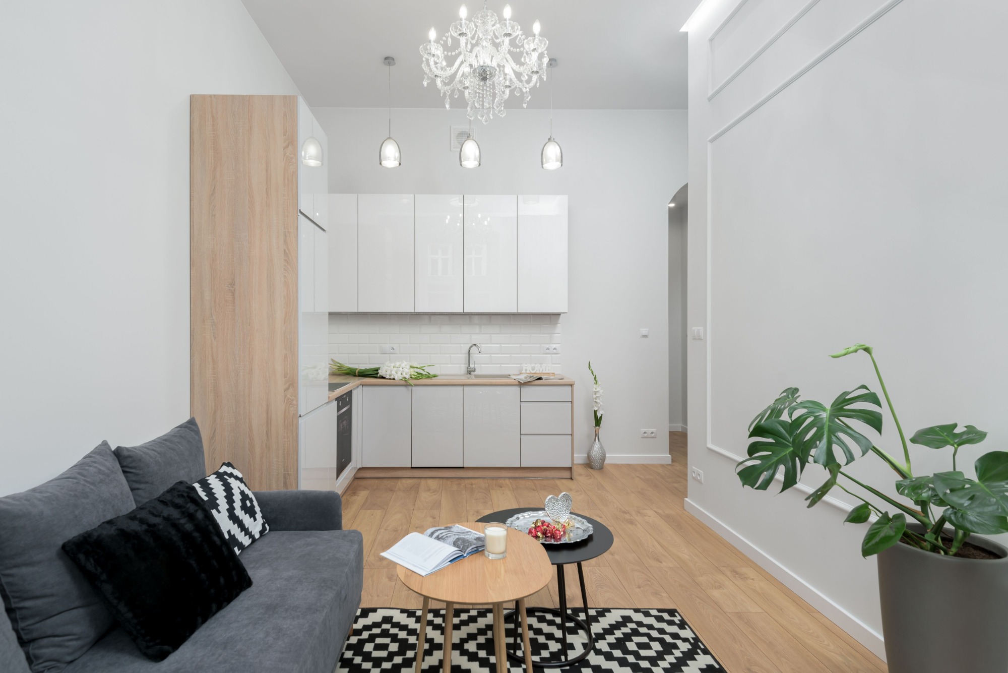Jasne, nowoczesne wnętrze z aneksem kuchennym, szarą sofą z poduszkami, drewnianą podłogą i rośliną doniczkową monstera.