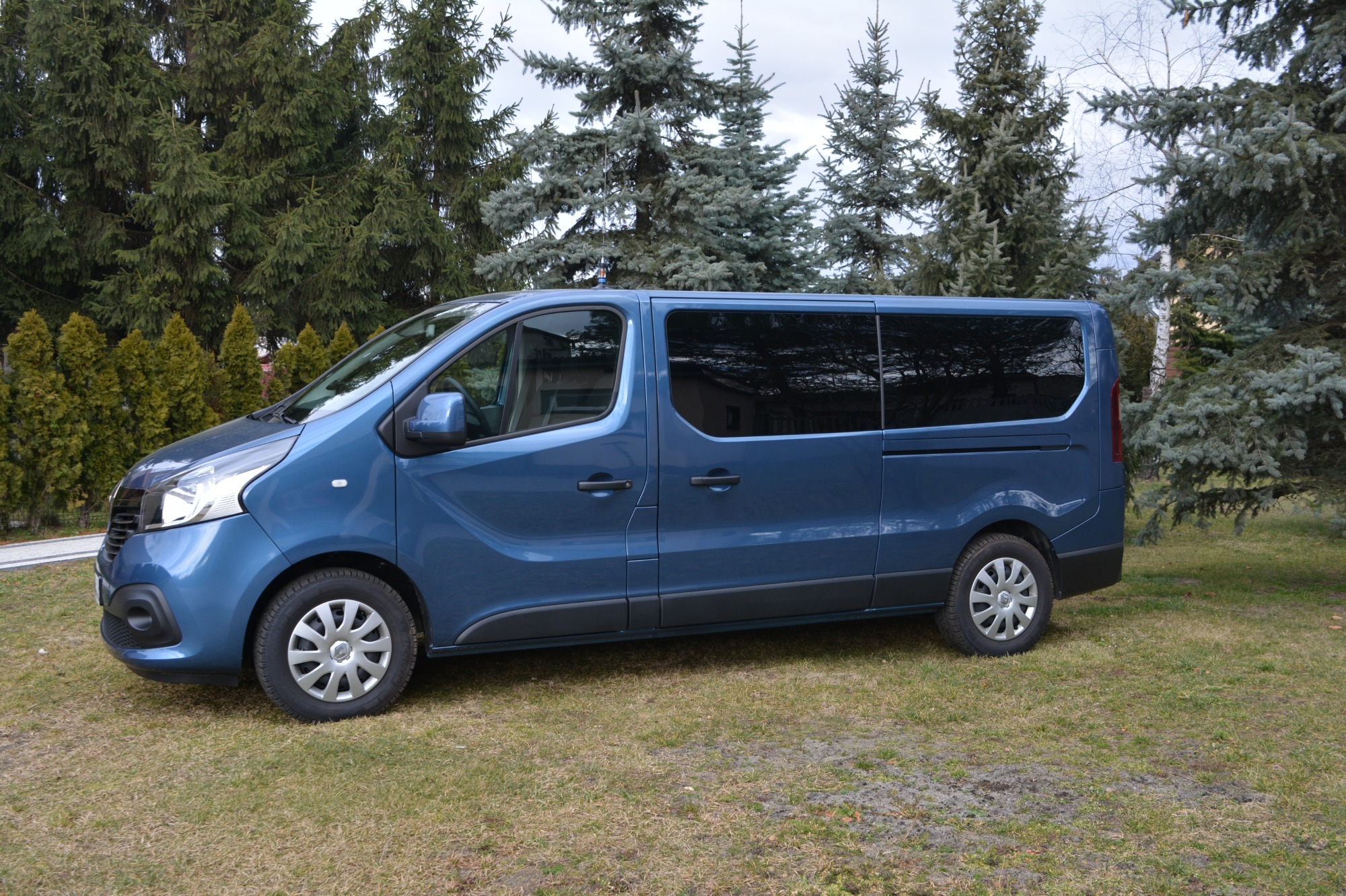 Niebieski van Renault Trafic z długim rozstawem osi zaparkowany na trawie, widok z boku, tło stanowią drzewa iglaste.