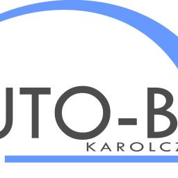 Auto Ben Kamil Karolczyk - Transport Paletowy Międzynarodowy Wschowa