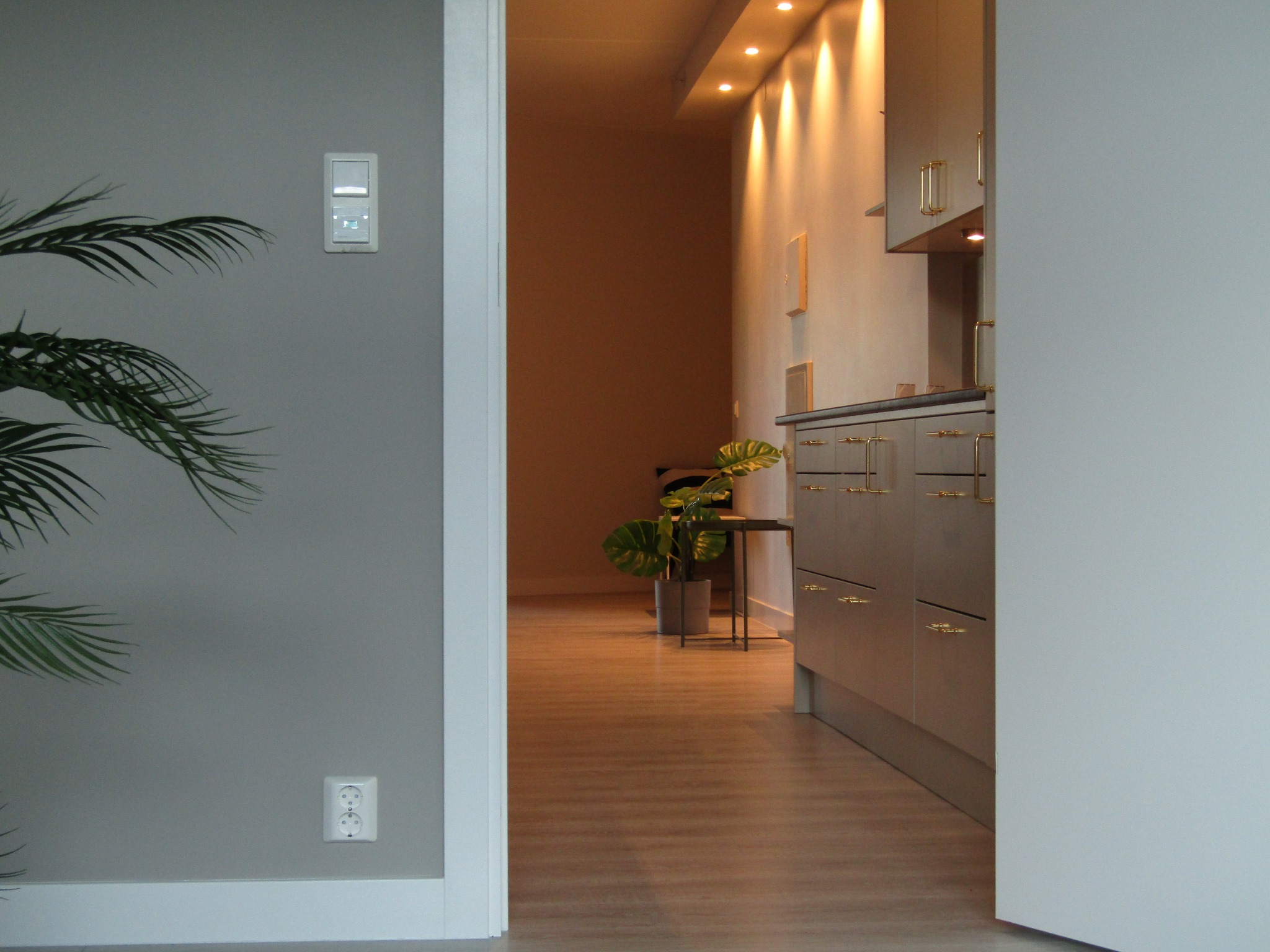 Nowoczesne wykończenie wnętrza: gładkie, szare ściany z rośliną, białe listwy przypodłogowe, drewniana podłoga i fragment zabudowy kuchennej z złotymi uchwytami.