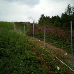 Motodar - Nowo postawione ogrodzenie z metalowej siatki na nierównym terenie, widok z dołu na pochmurne niebo, zarośnięte zbocze.