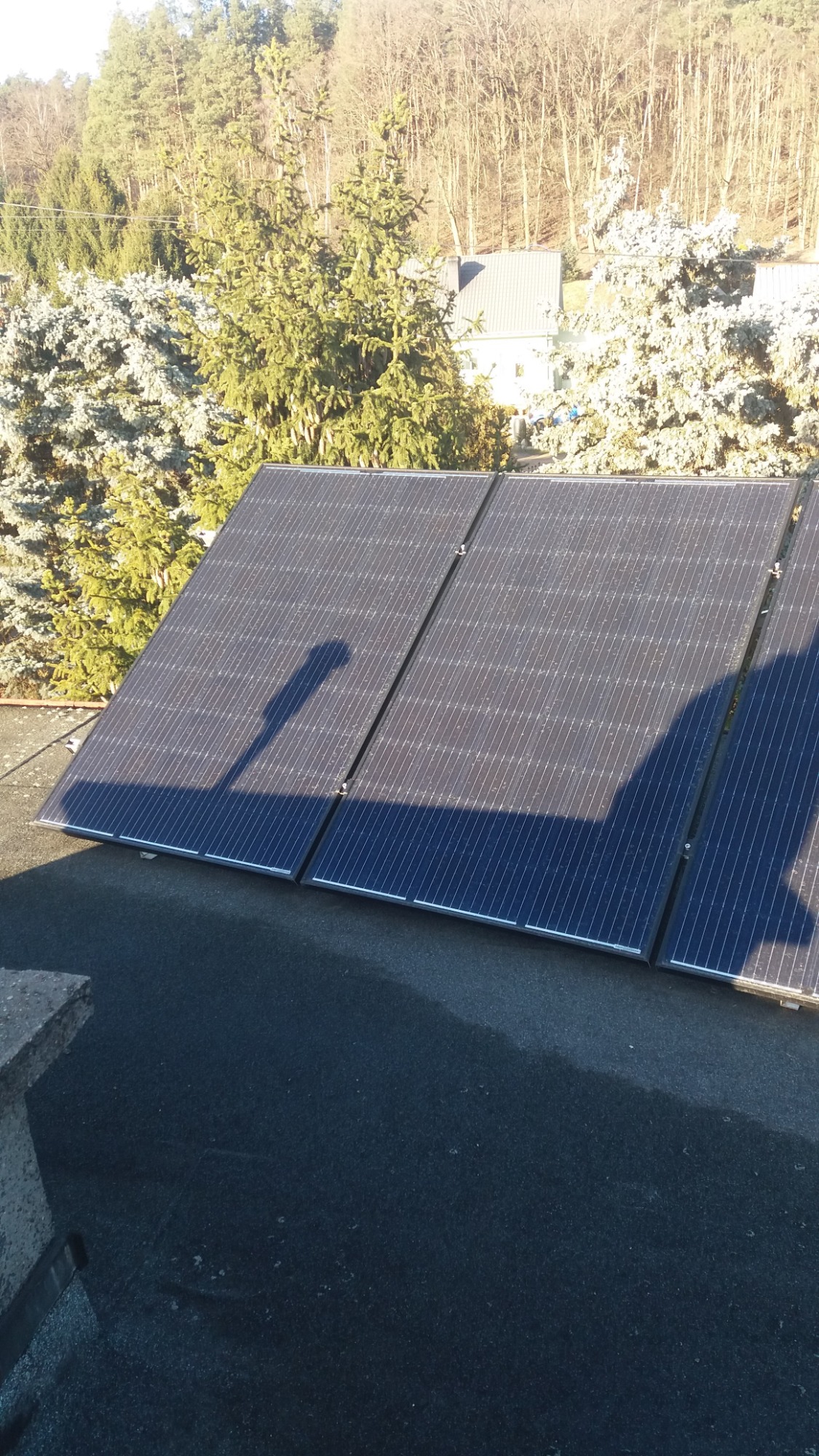 Panele fotowoltaiczne na dachu, cień słupa oświetleniowego na panelach, w tle drzewa iglaste i budynek.