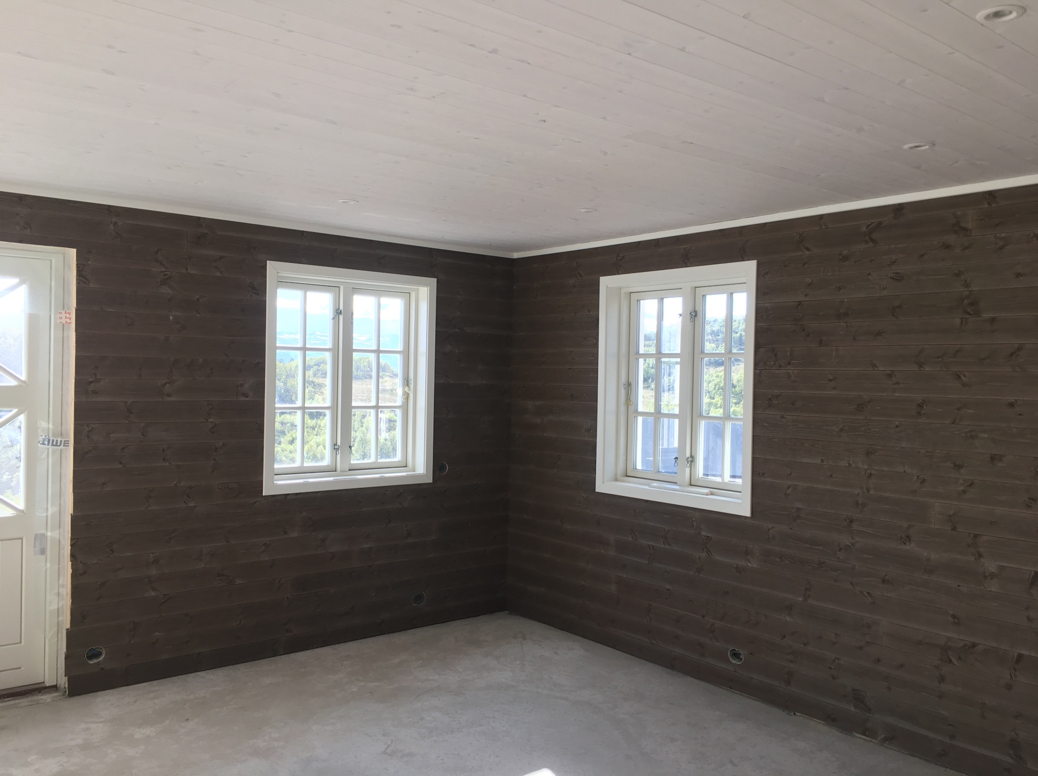Wnętrze domu w trakcie wykańczania: ściany wyłożone ciemnym drewnem, biały sufit z oświetleniem punktowym, dwa okna z widokiem na zieleń, surowa betonowa podłoga i białe drzwi z szybami.