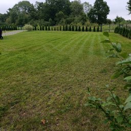 Paweł Pełech - Sadzenie drzew i krzew&oacute;w Białogard