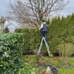 Sprzątanie mieszkań Białogard 2