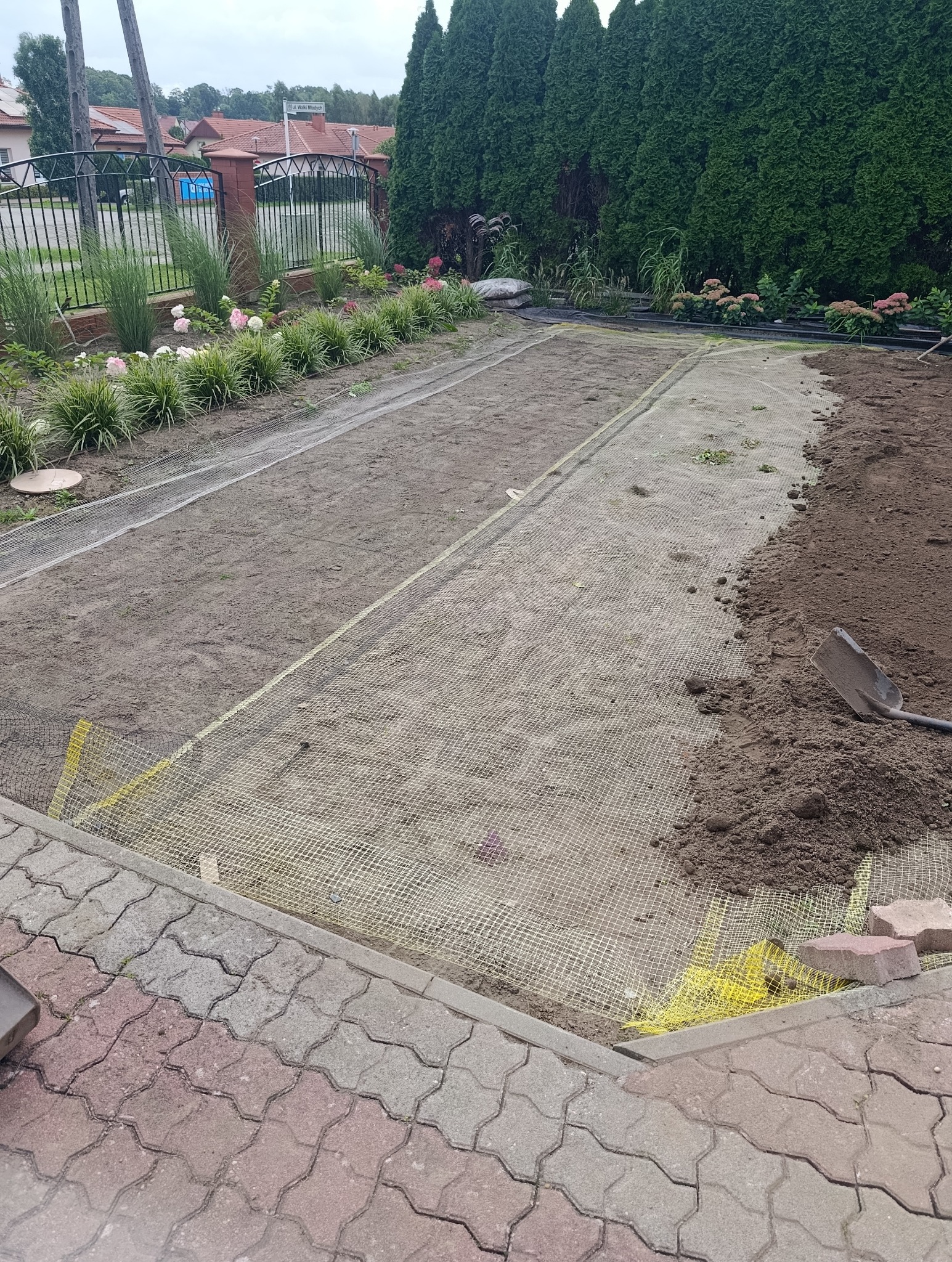Przygotowanie podłoża pod trawnik z rolki: wyrównana ziemia z siatką wzmacniającą, obrzeża z kostki, w tle roślinność ozdobna i tuje. Widoczna łopata i pryzma ziemi.