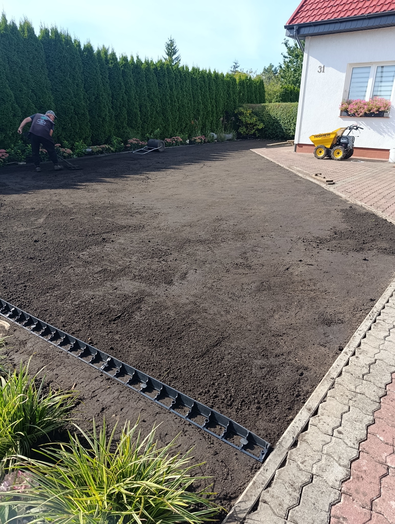 Przygotowany teren pod trawnik z widocznym pracownikiem wyrównującym ziemię, obrzeżami trawnikowymi i mini wywrotką na posesji.