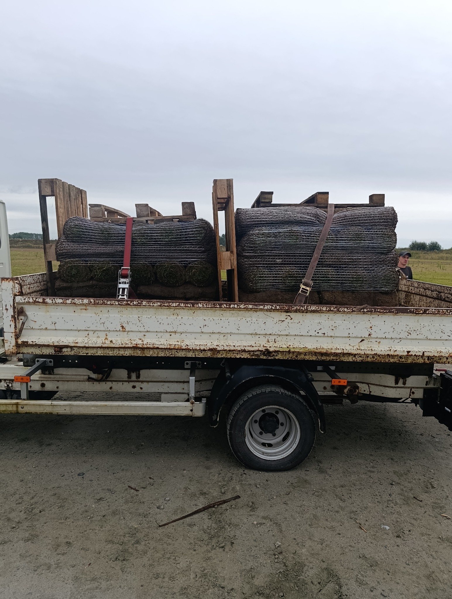 Transport trawy z rolki na paletach w skrzyni ładunkowej białego, lekko zardzewiałego samochodu dostawczego, widok z boku, pochmurne niebo w tle.