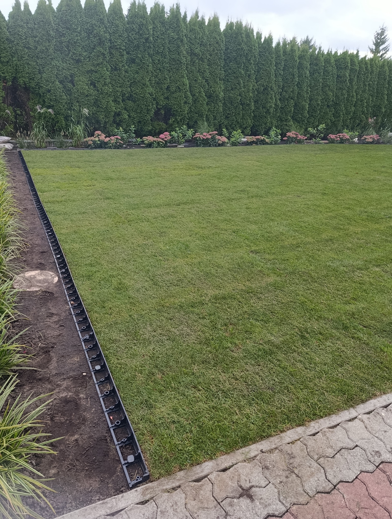 Ułożona trawa z rolki, widoczny system drenażowy wzdłuż trawnika i rząd tuj w tle. Kąt ujęcia z dołu podkreśla rozległość trawnika.