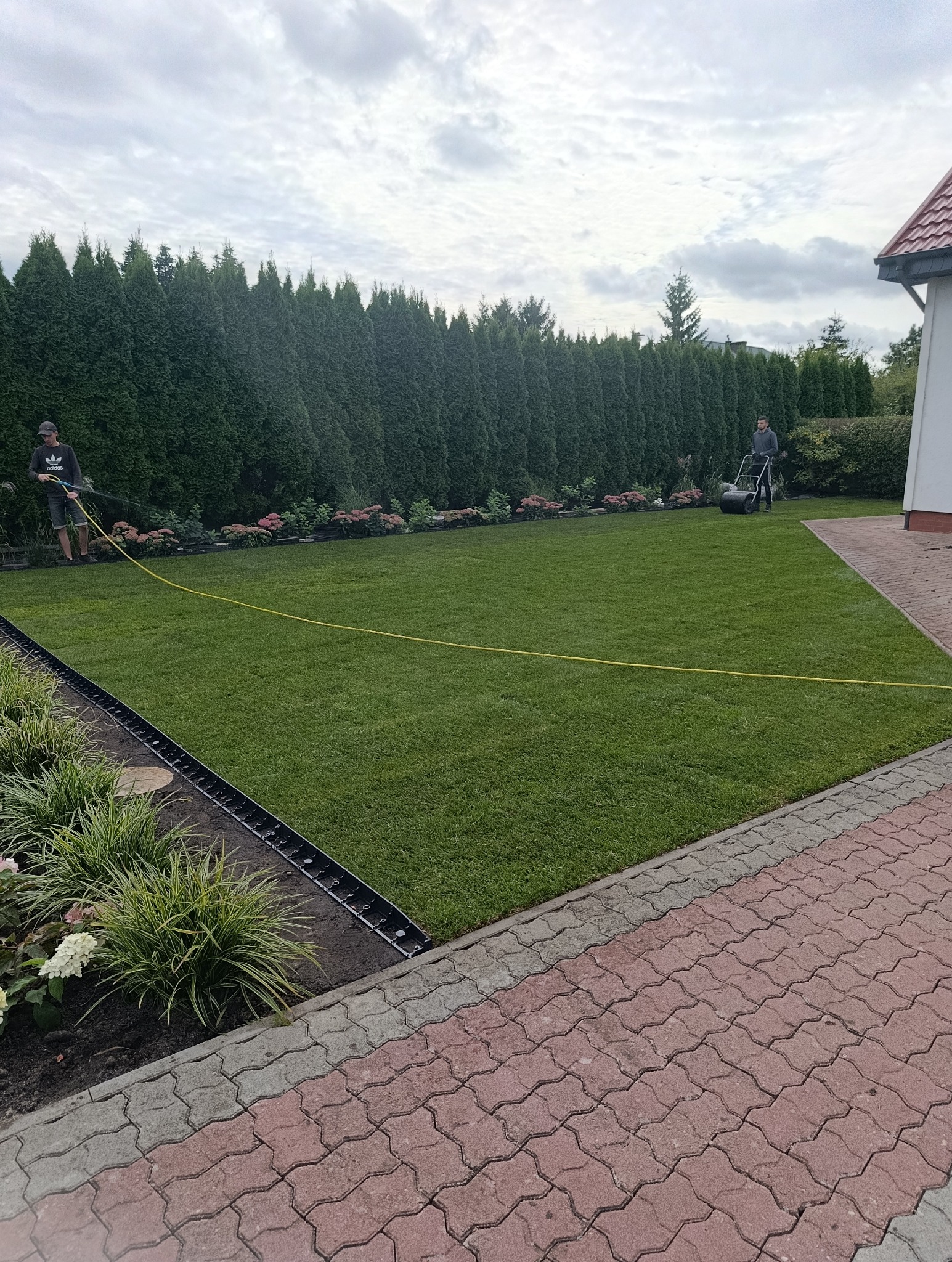 Równy trawnik po zabiegach pielęgnacyjnych, z widocznym systemem odwadniającym i dwoma pracownikami: jeden podlewa, drugi używa walca. W tle rząd tuj.