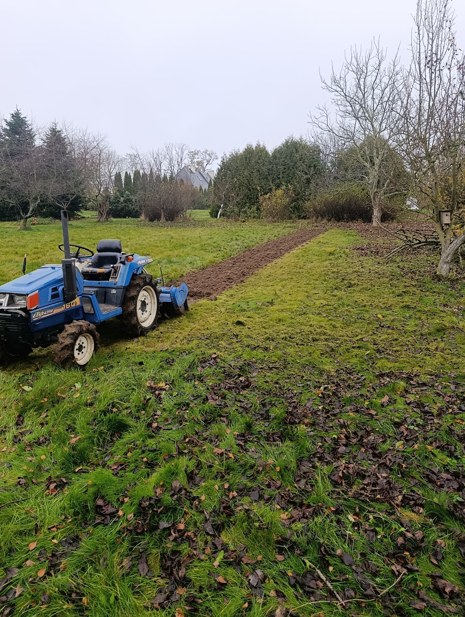 Niebieski traktor Iseki Landhope 160 na trawiastym terenie, świeżo zaorana bruzda w tle, jesienne liście na trawie, pochmurne niebo.