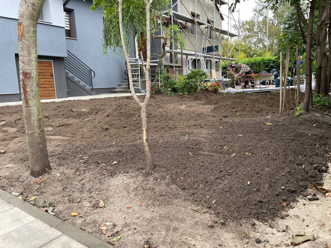 Przygotowany teren pod trawnik z rolki. W tle ekipa ogrodników przy pracy, dom z rusztowaniem i drzewa. Widok z poziomu gruntu.