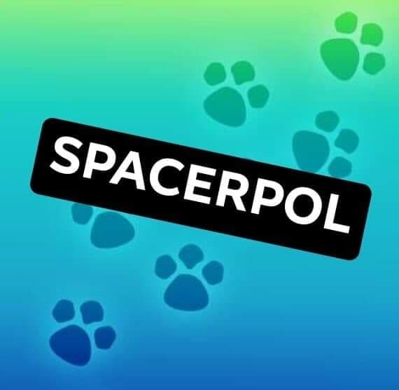 Logo firmy Spacerpol na tle z motywem psich łap w odcieniach zieleni i błękitu.