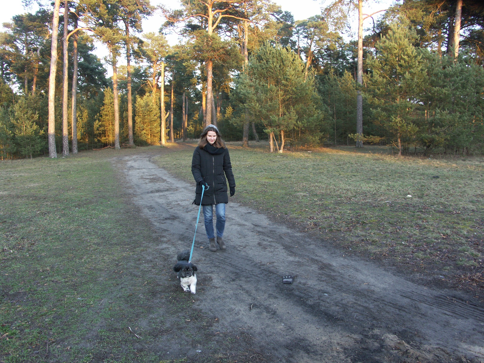 Kobieta w czarnej kurtce prowadzi małego, czarno-białego psa na smyczy po polnej drodze w lesie iglastym.
