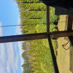 Widok z wnętrza drewnianej konstrukcji na zielone tuje i błękitne niebo z chmurami, z maszyną na stole.