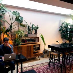 Projektowa Coworking Design Studio - Mężczyzna zamyślony pracuje na laptopie w przestronnym, jasnym wnętrzu biura z dużą ilością roślin doniczkowych i vintage meblami.