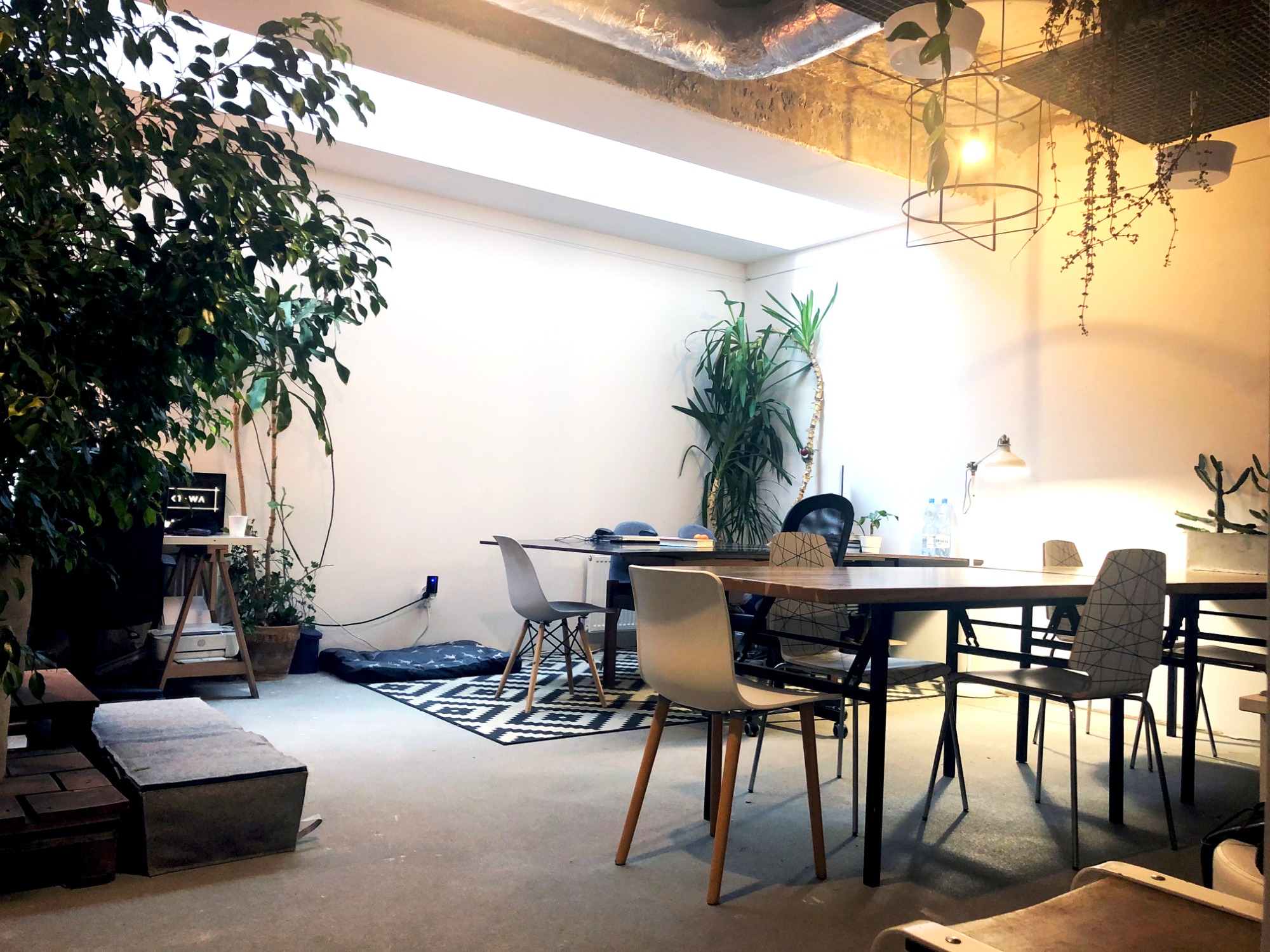 Jasne, przestronne biuro coworkingowe z betonową podłogą, licznymi roślinami doniczkowymi, designerskimi lampami sufitowymi i stołami z krzesłami w stylu skandynawskim.