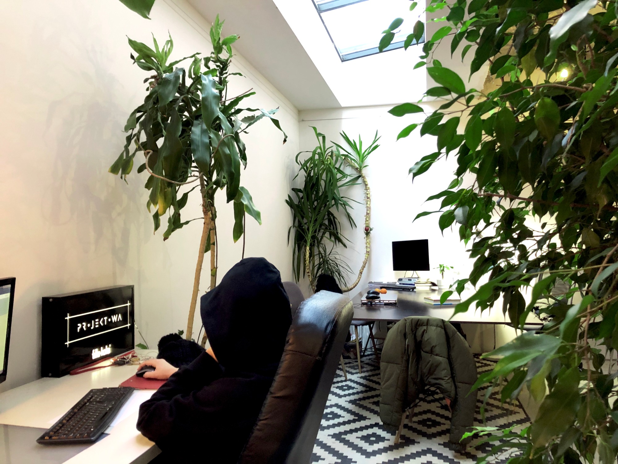Osoba w kapturze siedzi przy biurku w jasnym biurze z dużą ilością roślin, widoczny monitor z napisem 'PROJECT-WA' i geometryczny wzór dywanu.
