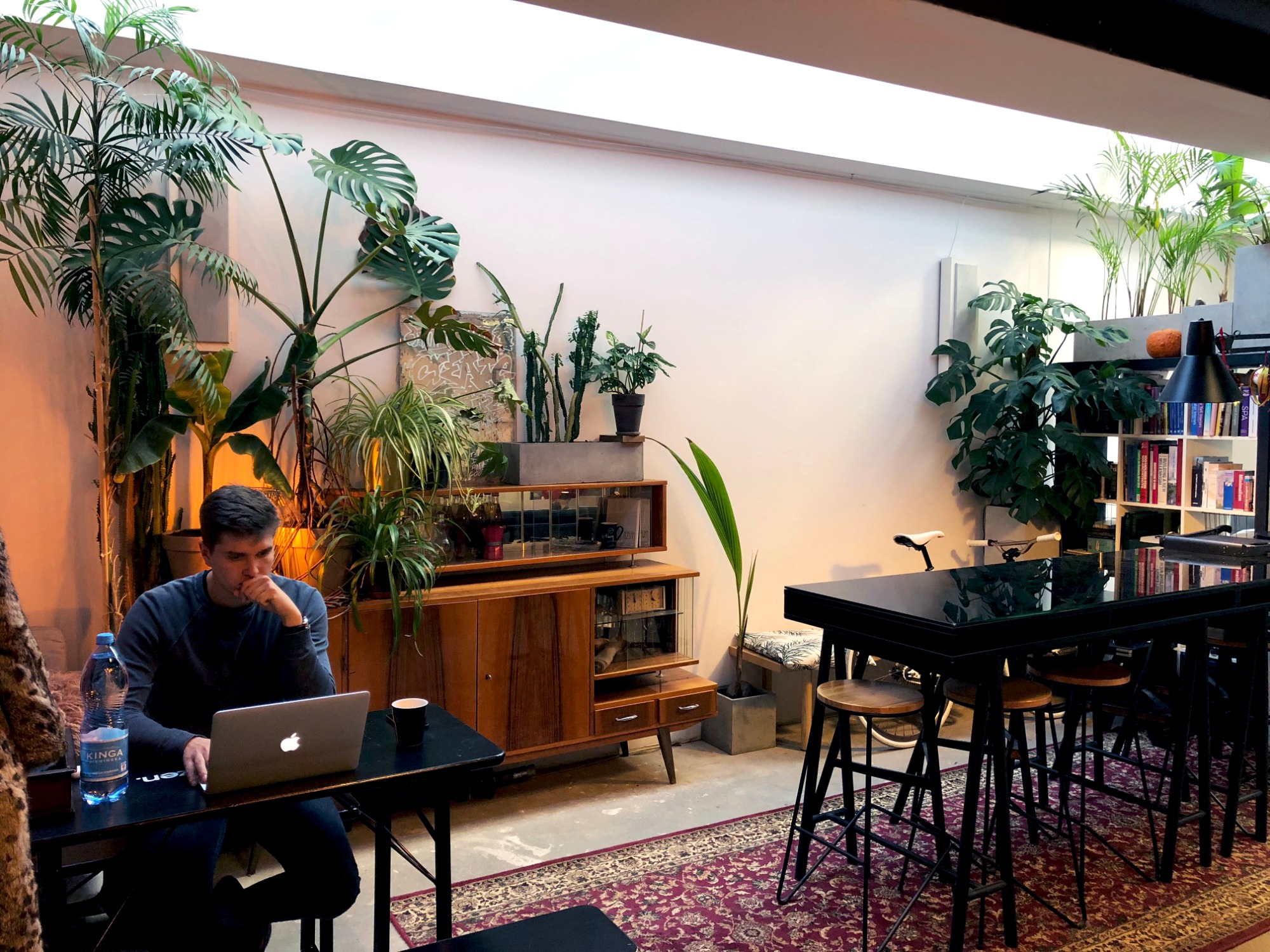 Mężczyzna zamyślony pracuje na laptopie w przestronnym, jasnym wnętrzu biura z dużą ilością roślin doniczkowych i vintage meblami.